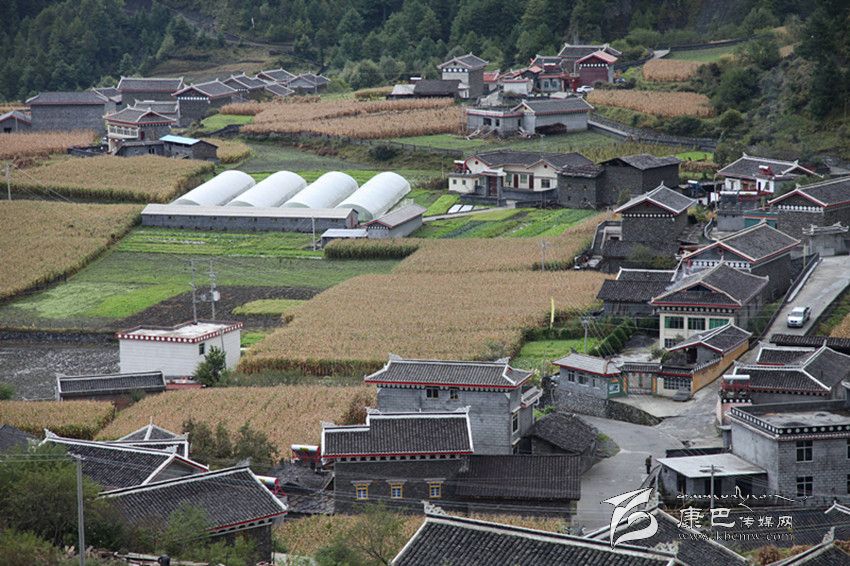 九龍新村美如畫.