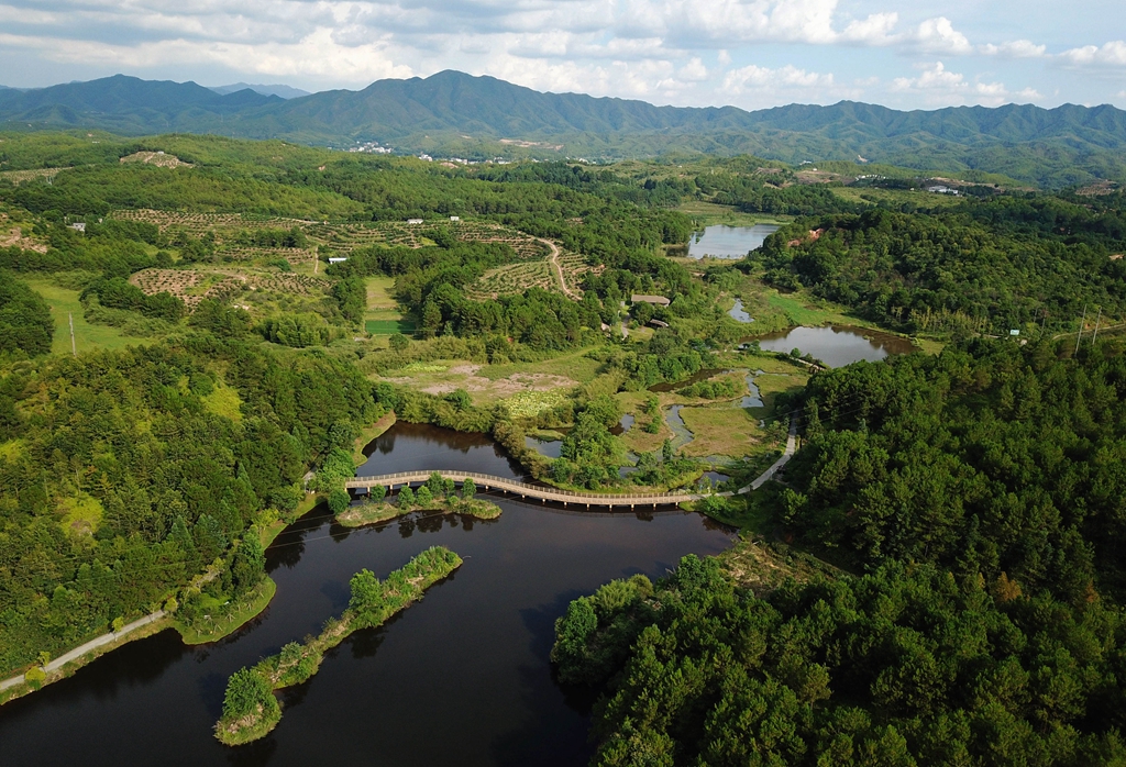 福建省龍巖市長汀縣的長汀汀江國家濕地公園景色（2020年7月28日攝，無人機(jī)照片）。新華社記者 魏培全 攝