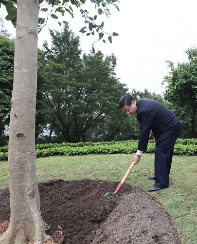 2012年12月7日至11日，習(xí)近平在廣東省考察工作。這是8日上午，習(xí)近平在深圳蓮花山公園種下一棵高山榕樹。新華社記者 蘭紅光 攝